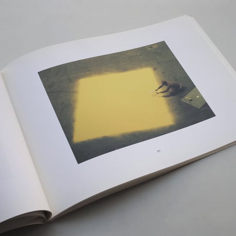 Wolfgang Laib / Wolfgang Laib