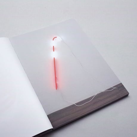 Lieven De Boeck / X Independence of Character