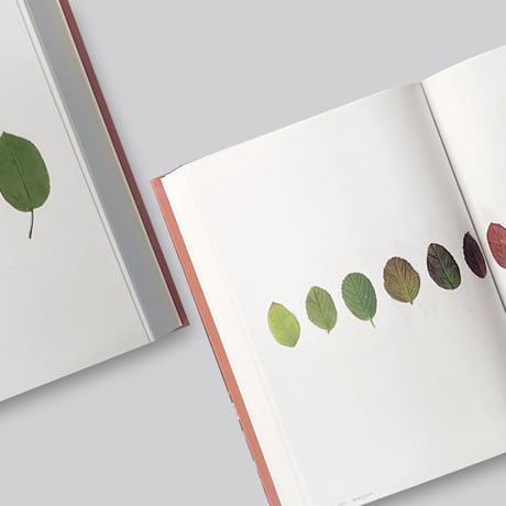 Anne Geene / Book Of Plants