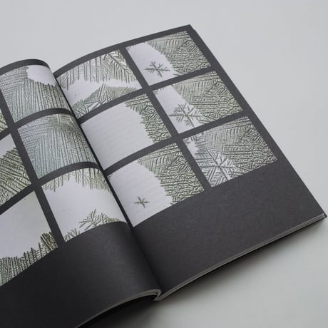 Anika Schwarzlose / Seeing Into Stone
