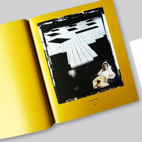 Rosemarie Trockel / Flagrant Delight
