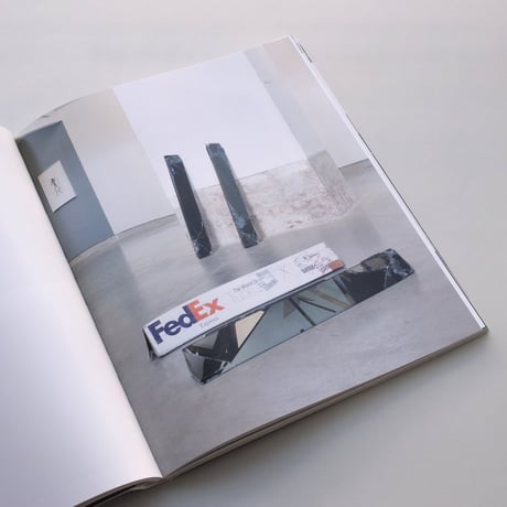 Walead Beshty / Natural Histories