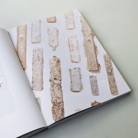 Aesthetics Of Sustainability