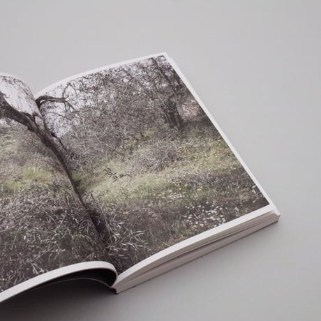 Martino Marangoni / Nonni's Paradiso - An Olive Tree Story