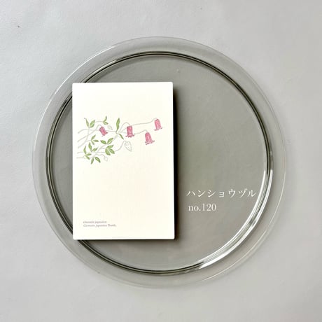 活版印刷のポストカード