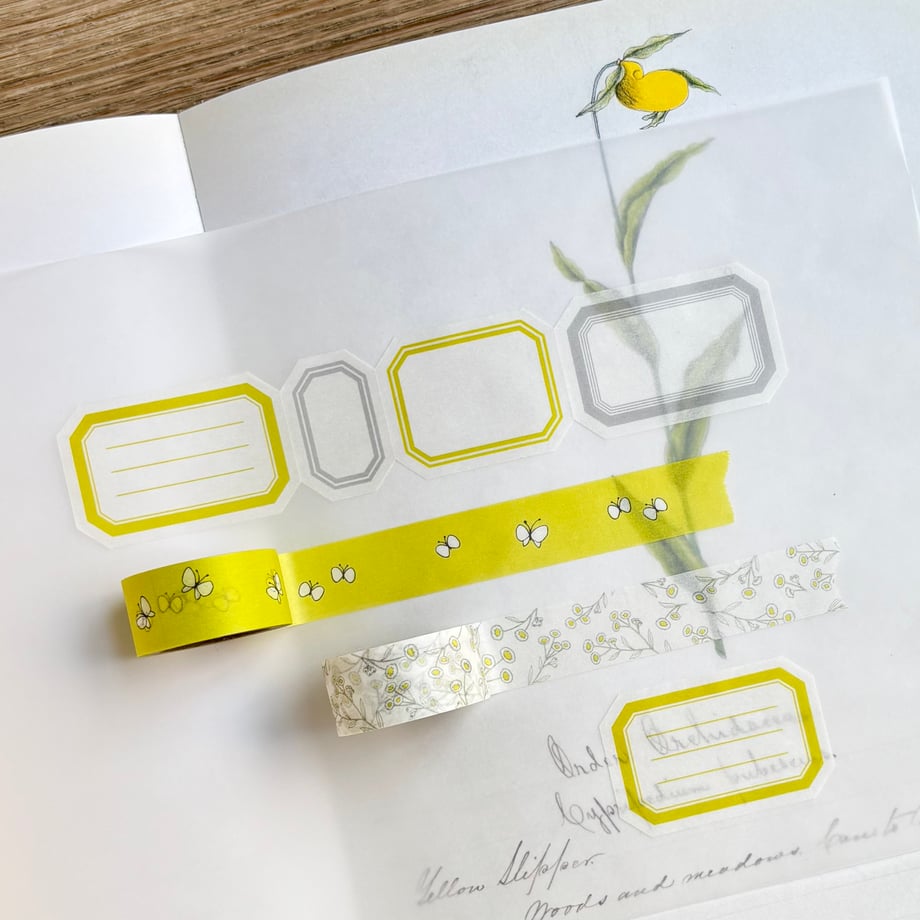 69b8a8f6e8c4f80076049fc9