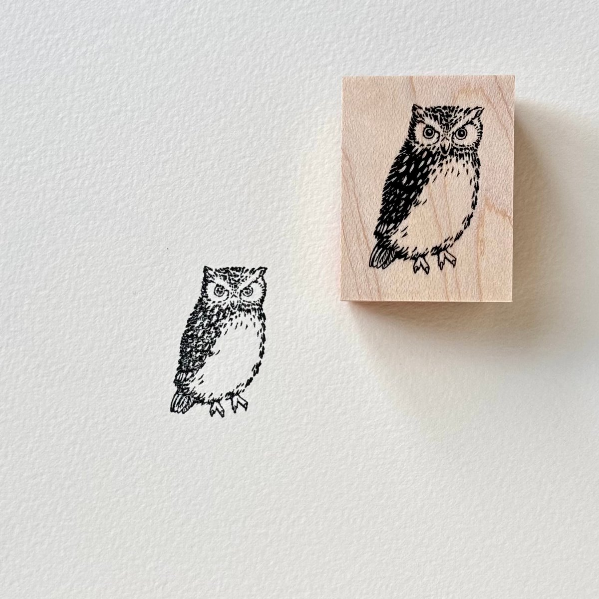 スタンプセット/Evergreen | Hütte paper works