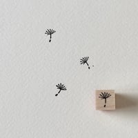 タンポポの綿毛