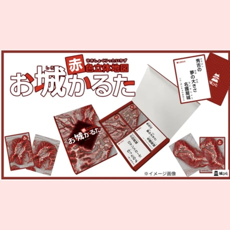 地形が主役！赤色立体地図お城かるた（宅配便）