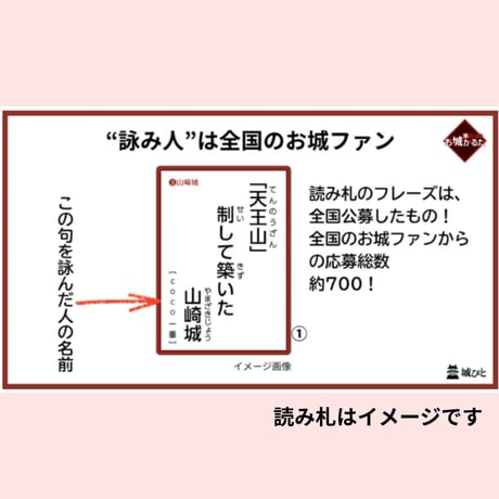 地形が主役！赤色立体地図お城かるた（宅配便）