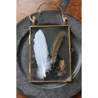 ≪nd-mf-gd-hg≫ Nordal Metal frame, hanging, gold, feather