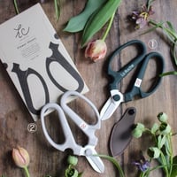 【お花とセット購入】La Rucheロゴ入り花鋏