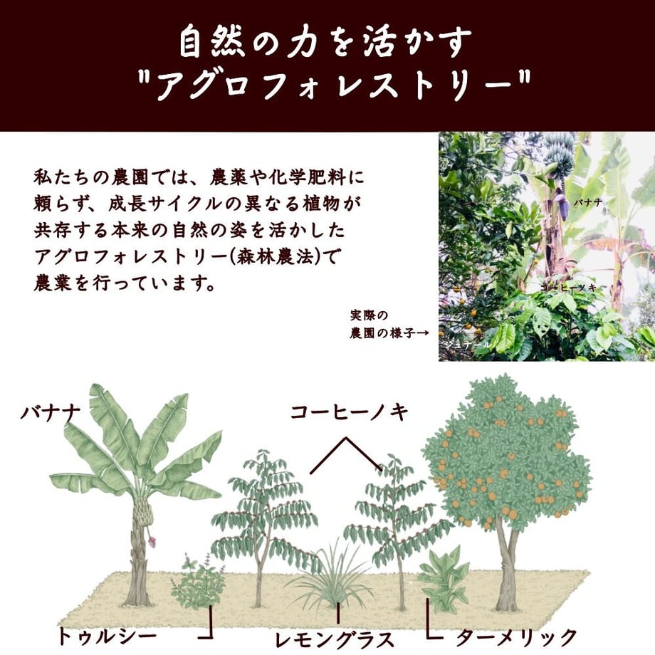 5eadeb7772b9110b075718f0