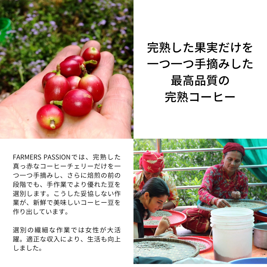 ナチュラル×ライト 500g | ネパール珈琲 ファーマーズパッション