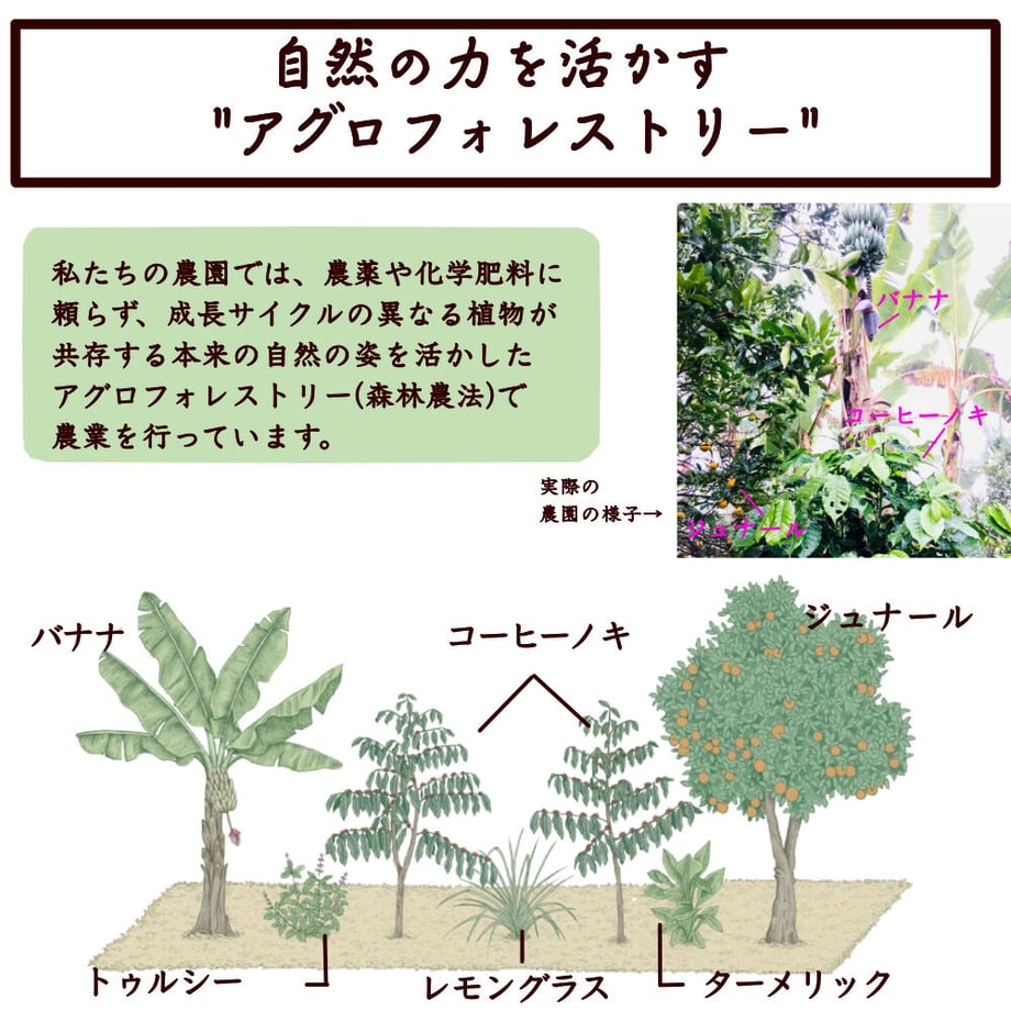 60501f4e6728be5301f41a51