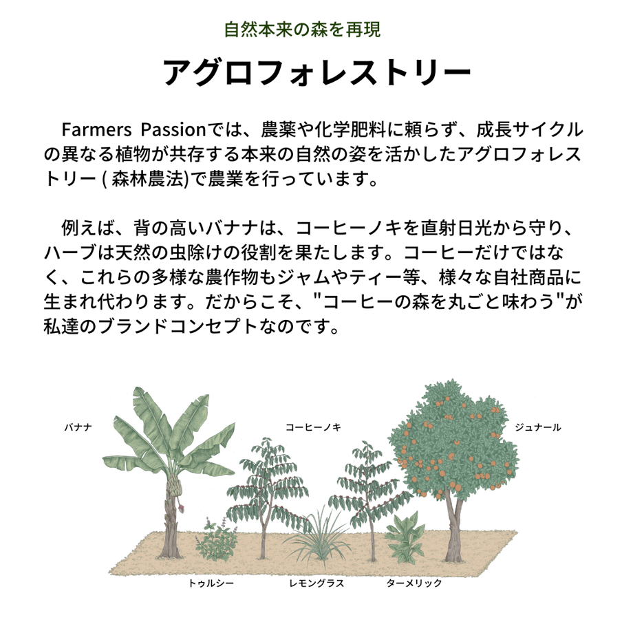 5bbca80e5496ff59e70018c5