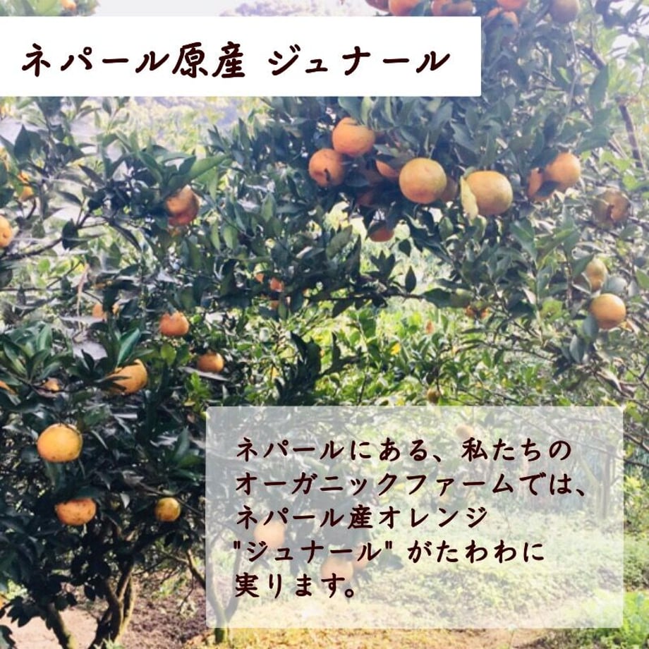 5bd34c6bc3976c42c90001d0