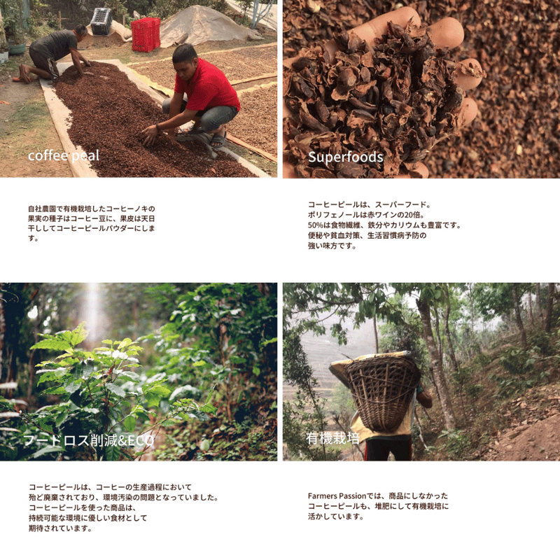 【コーヒー生豆】 5kg ペルー パープルコンドル ナチュラル No.4484⑤ Specialty Coffee ~Main Menu