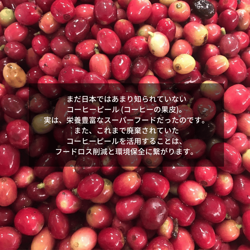 コーヒーチェリーのコーラベース（500ml） | ネパール珈琲