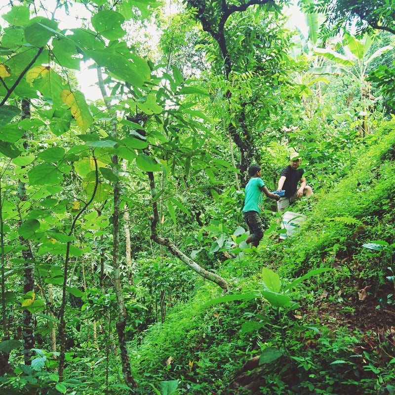 8種のスパイスセット | ネパール珈琲 ファーマーズパッション