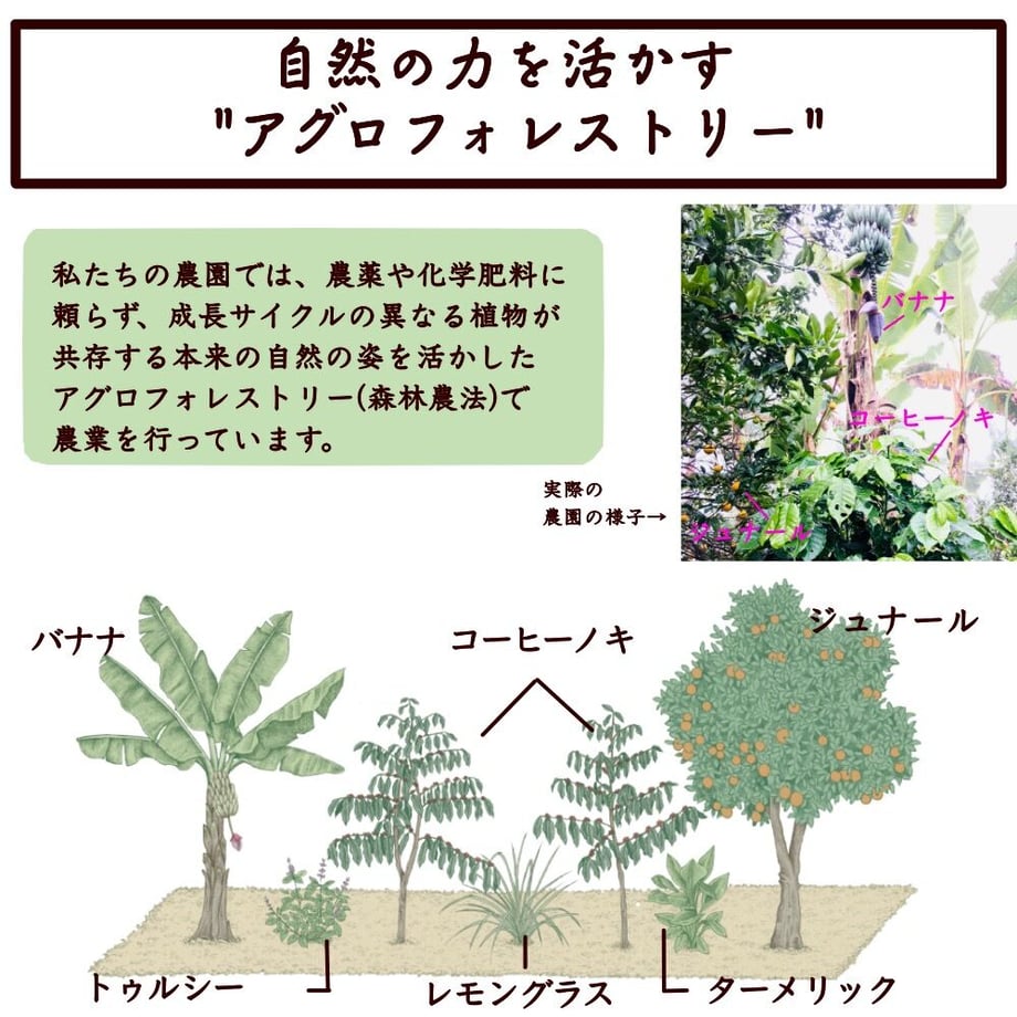 5bd3a12dc3976c61cf0003d7