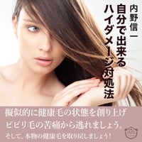 ハイダメージ対処法