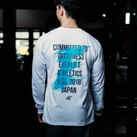 Override LS (WHT/BLU)