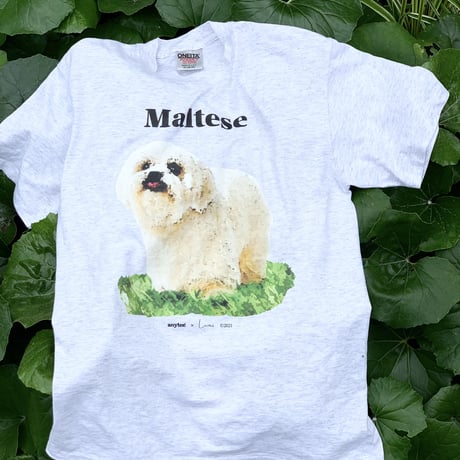 DOG TEE/ONEITA body M & L/anytee original