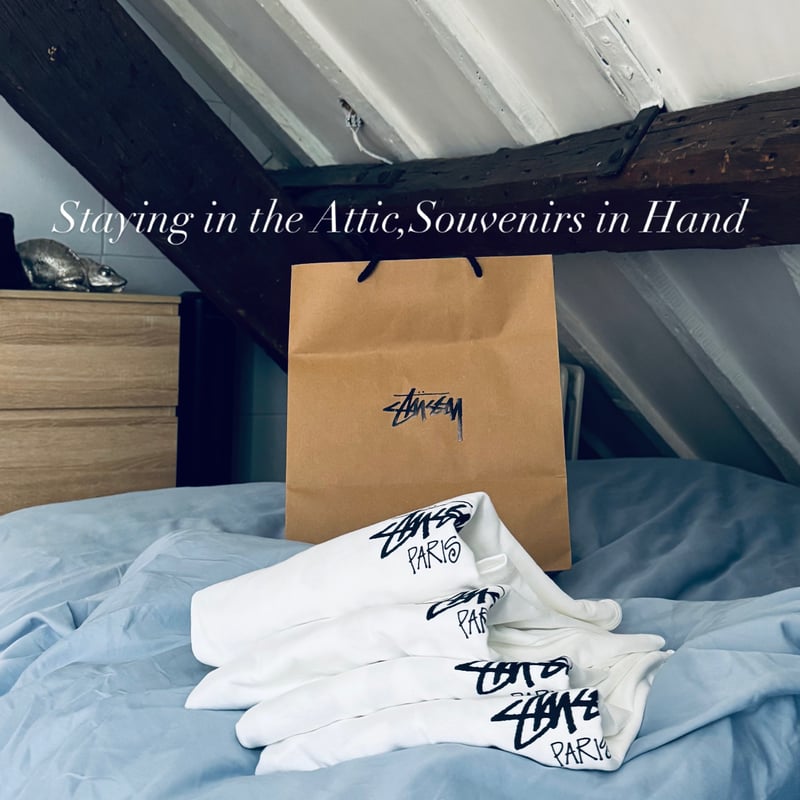 Stussy Stock Logo Ltd Tee_Paris ver. | anytee