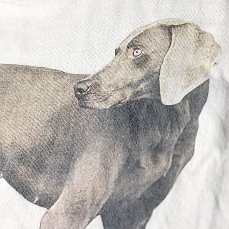 ［L］Dog Tee_William Wegman_90s vintage