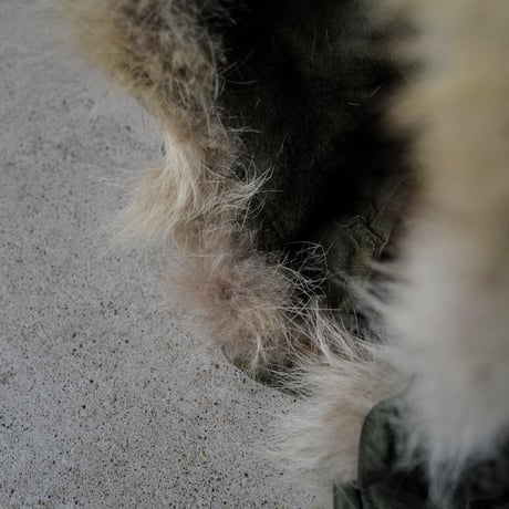 ［Free size］m51_coyote fur hood_no.1