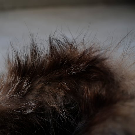 ［Free size］m51_first model_coyote fur hood_deadstock_no.4