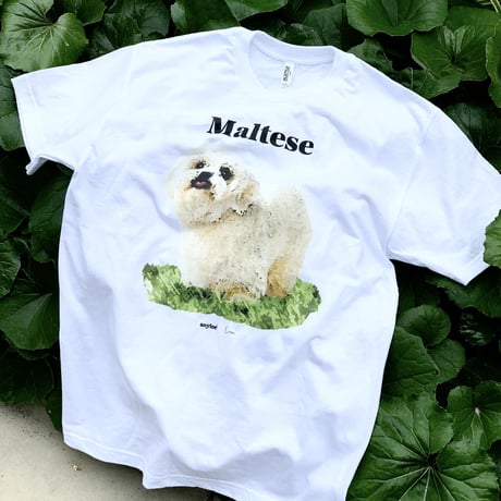 DOG TEE/ALSTYLE body S-XL/anytee original