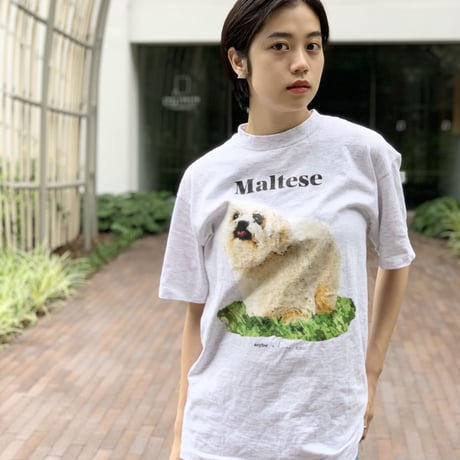 DOG TEE/ONEITA body M & L/anytee original