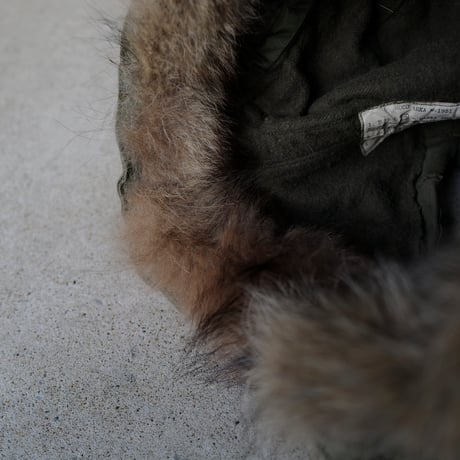 ［Free size］m51_first model_coyote fur hood_no.5