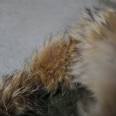 オンライン専用［Free size］m51_hood_real coyote fur