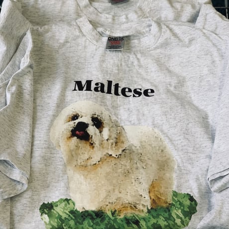 DOG TEE/ONEITA XXL/anytee original