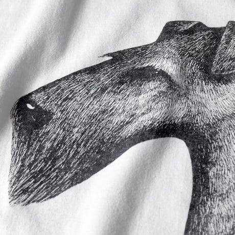 ［L］Dog Tee Vintage_80-90s vintage_made in USA