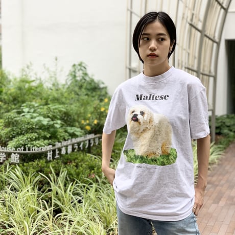 DOG TEE/ONEITA body M & L/anytee original