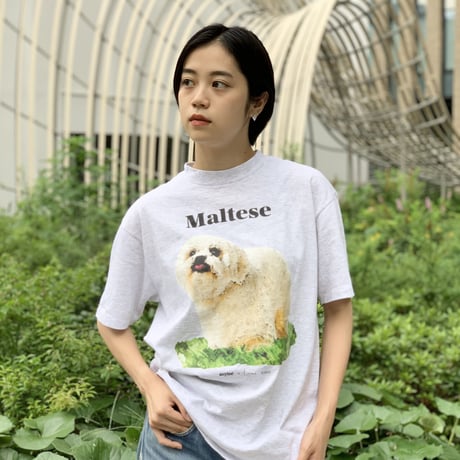 DOG TEE/ONEITA body M & L/anytee original