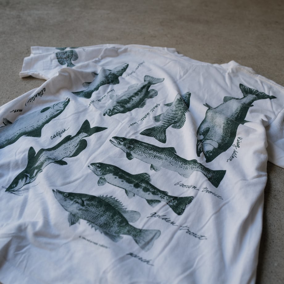 64c11796d9e28d00341b315a
