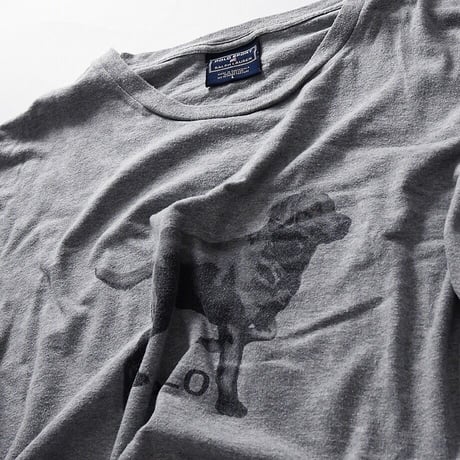 ［L］Polo Sport