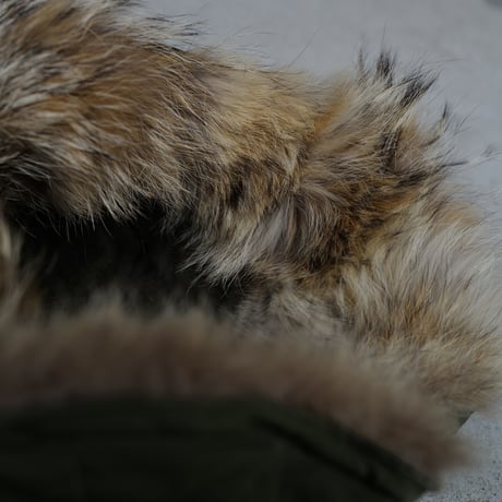 オンライン専用［Free size］m51_hood_real coyote fur