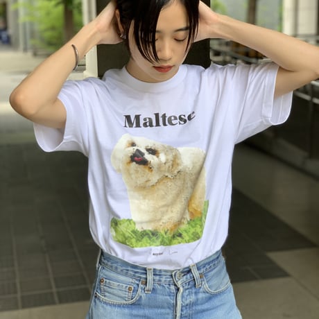 DOG TEE/ALSTYLE body S-XL/anytee original