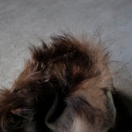 ［Free size］m51_first model_coyote fur hood_deadstock_no.4