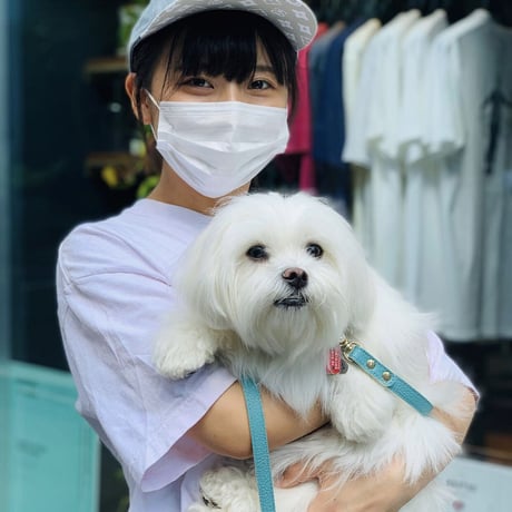 DOG TEE/ALSTYLE body S-XL/anytee original