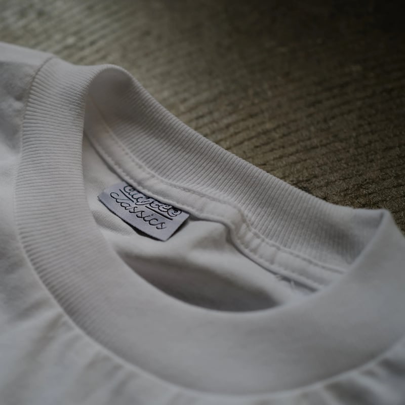 anytee classics] Financial Independent Tee_Whi