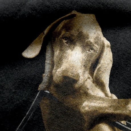 ［L］Dog Tee Vintage_William Wegman_90s vintage