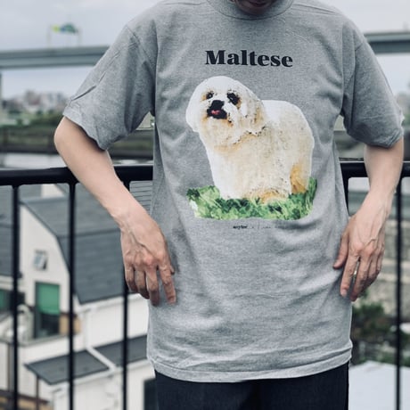 DOG TEE/ONEITA body M & L/anytee original
