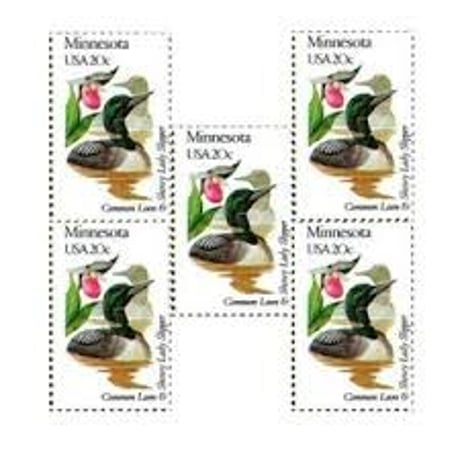 no.13